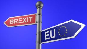 Laois companies can measure if they are #brexit ready online