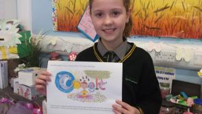 Vote for Laois schoolgirl's design in the final of Doodle4Google