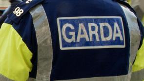 Army bomb disposal unit due in Stradbally after old grenade found 