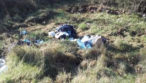 Court - Country 'destroyed' by 'disgusting' litter says judge in Laois during prosecution of Portarlington resident