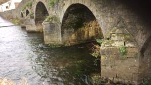 ‘We don’t want to see it falling down’ - Laois council asked to fix stone bridge
