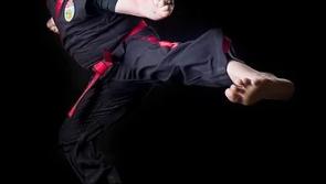 International Martial Arts seminar coming to Portlaoise this July