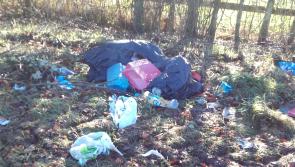 35 tonnes of illegally dumped waste removed from lovely Laois countryside