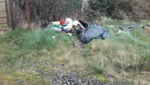 Laois council gets cash for App to tackle illegal dumping