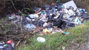 Leo Varadkar told €445,000 lost to Laois due to illegal dumping says Laois Sinn Féin TD 