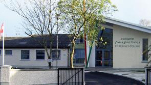 An entire school in Laois has completed its own mannequin challenge, to boost positive mental health