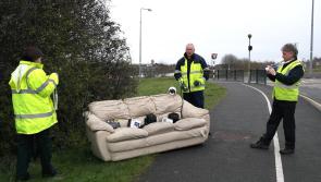 Litter wardens 'not just lounging around' in Portlaoise