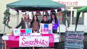 Enterprising young winners announced at the 2017 Laois Student Enterprise Awards 