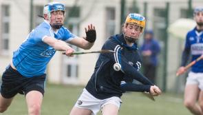 Laois minor hurlers open season with hard-fought win over Dublin