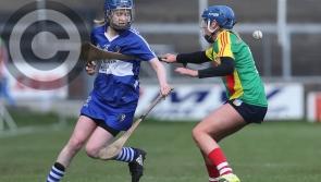 Laois denied by two late Carlow points in low-scoring affair