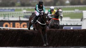 Laois bred racehorse Altior breaks world record