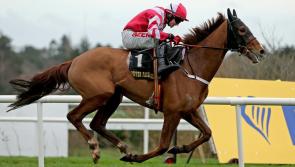 Divine support behind Cheltenham prospect with big Portlaoise Parish connections