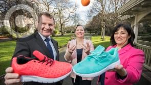 Public and private sector in Laois urged to sign up to Workplace Wellbeing  Day