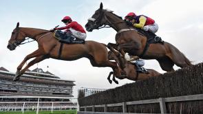 Cheltenham Gold Cup contender has roots in Laois 