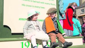 Open meeting to address arts and culture plan for Laois 