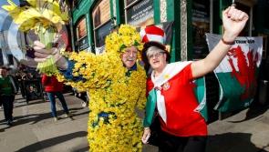 Cancer Society gives thanks as sunshine looks set to boost Daffodil Day collections in Laois and elsewhere