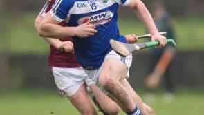 Brave Laois effort falls just short against Wexford