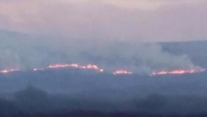 Fire service warning as gorse and bog fire season sparks into life in Laois