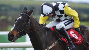 Leinster Express owner's horse pipped at the post in the Grand National