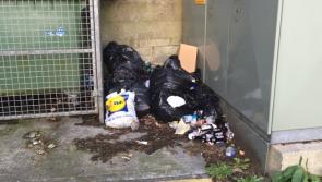 Anti-social behaviour 'worse than ever' due to absence of Laois tenant liaison service