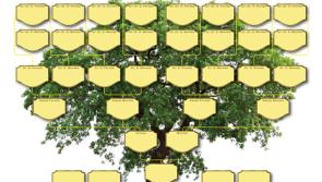 Have you ever wanted to trace your family tree?