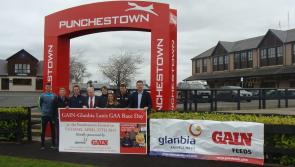 Laois GAA off to Punchestown for Race Day Fundraiser