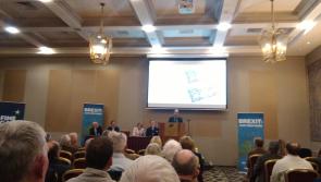 Brexit impacting on business, says Glenisk's Vincent Cleary 