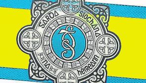 Portlaoise Gardaí seize cannabis plants valued at €250,000 in joint operation