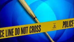 Athy man was 'running for his life' when killed by baseball bat