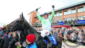 Our Duke's Grand National victory sees Laois celebrations blow the roof off Fairyhouse