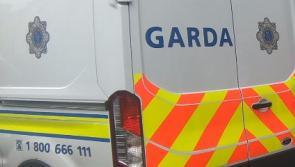 Laois registered family car linked to brutal Dublin  double killing