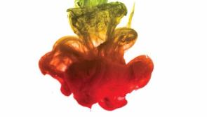 Abbeyleix Further Education art all set to launch in Portlaoise