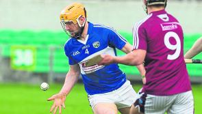 Laois hurlers to be without Cahir Healy and Willie Dunphy for clash with Kerry