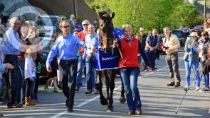 Irish Grand National winner Our Duke given hero's welcome home to Laois in Coolrain