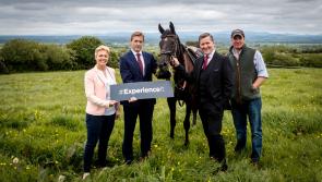 Ever dreamed of owning an Our Duke? Horse Racing Ireland invites you to 'experience' ownership