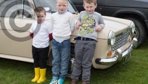 Vintage day of cars, tractors and machinery at great family day in Ballyroan