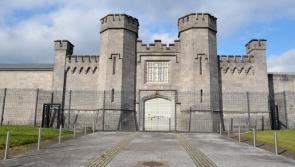 31 cases of Covid confirmed in Portlaoise Prison in March