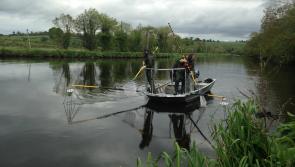 Poor water quality cited among reasons for poor fish levels on River Barrow