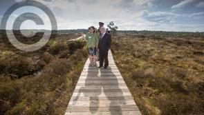 Laois council set to be one of the last stops on Presidential merry-go-round