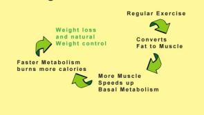 How many calories we can eat per day and still lose weight?
