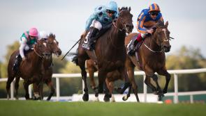 THE PUNTER'S EYE: Five horses to follow at the Curragh this weekend