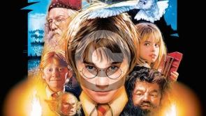 Harry Potter interactive zone at Durrow Scarecrow Festival 