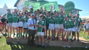 Rosenallis are champs as Laois clubs impress at 2017 Hurling Féile