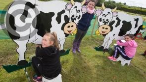 Buds and Blooms and people a plenty at the Laois Garden Festival