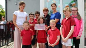Timahoe one of eight STEM Laois winners