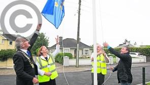 Politicians be warned Abbeyleix is set to ban posters