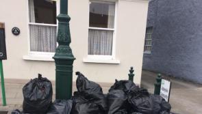 Illegal dumping 'shameful' at Abbeyleix Bog weeks after Michael D Higgins visit
