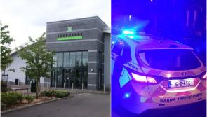 Laois Offaly gardaí investigating criminal rampage 