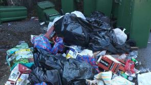 Portarlington French Festival success soured by 'disappointing' dumping