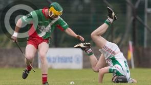 LAOIS JHC - Ballypickas and Ballinakill win big in opening round